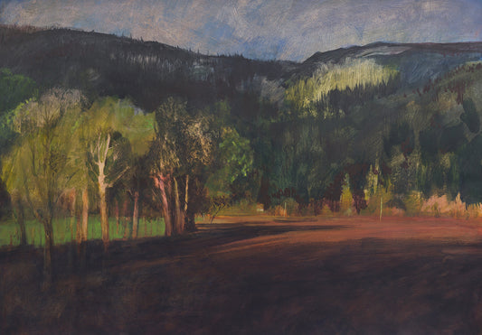 Craigvinean Morning Light - Print on fine art paper